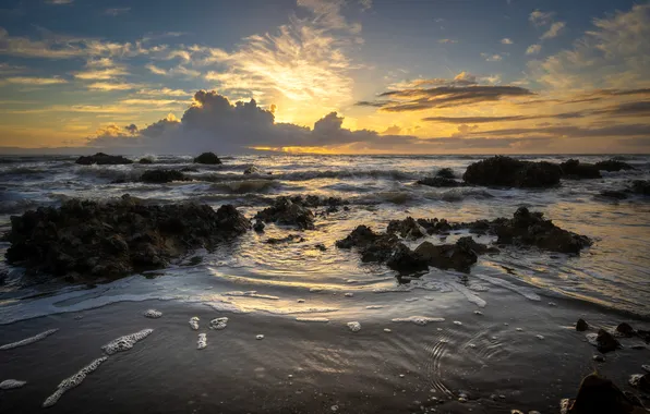 Sea, sunset, coast
