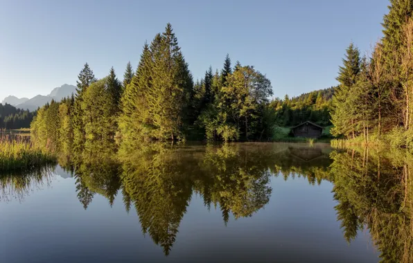 Picture forest, summer, lake, home