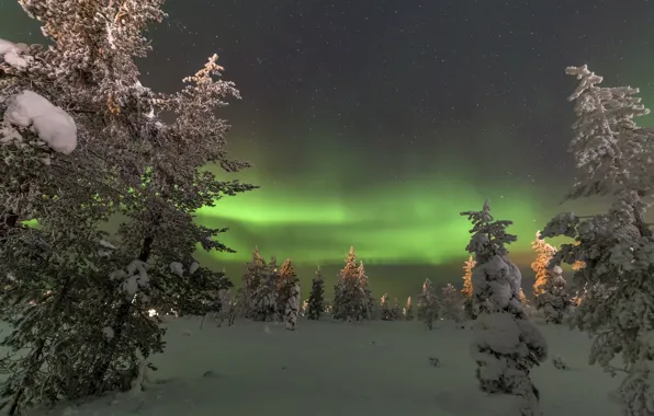 Picture snow, landscape, night, nature, tree, Northern lights, North