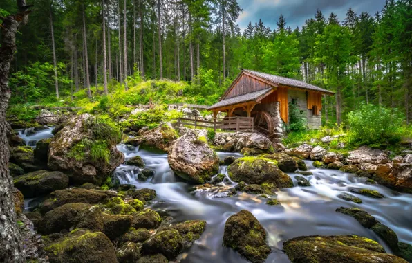 Forest, trees, stream, stones, Austria, river, water mill, Austria