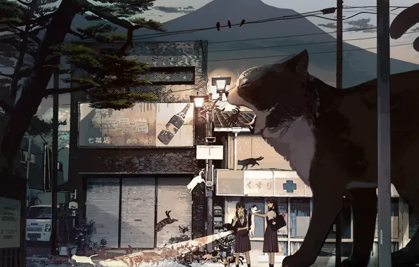 Cat, cats, girls, street, giant