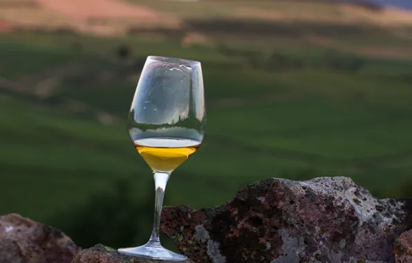 Glass, wine, rocks, valley, vineyards, white wine