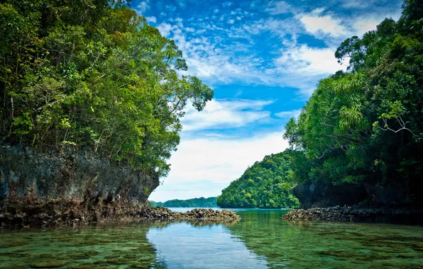 Picture the sky, clouds, trees, Bay