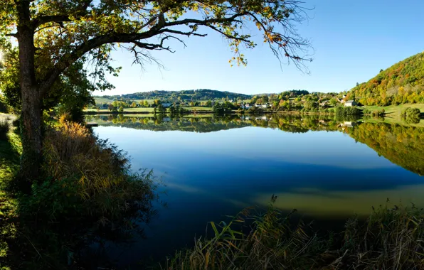 Picture grass, trees, lake, shore, France, home, Sunny