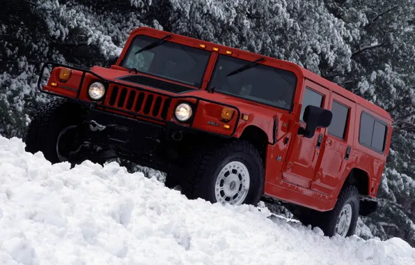 Hummer, Hummer H1, Hummer Wallpaper, Hummer H1 Wallpaper, Hummer Cars