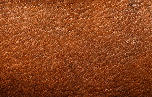 Picture leather, brown, relief, leatherette