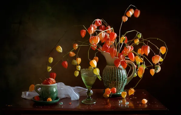 Branches, glass, mug, pitcher, still life, lanterns, table, physalis