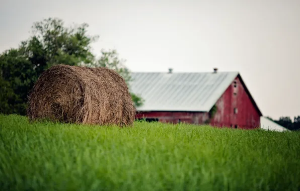 Summer, grass, bale, straw, farm