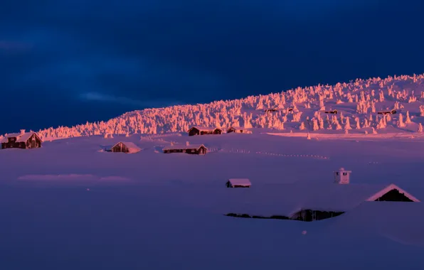 Winter, snow, trees, home, rasvet