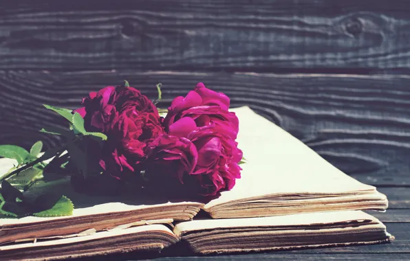 Picture roses, vintage, wood, flowers, beautiful, purple, book