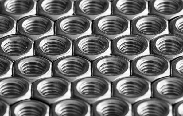 Macro, background, nuts