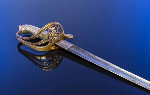 Picture weapons, background, high grade, 1800, officer's sword