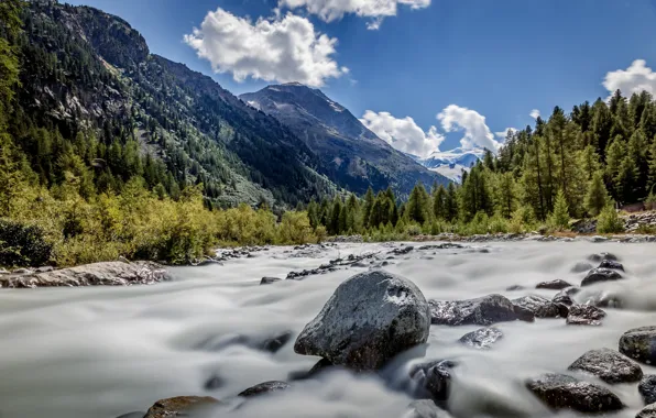 Picture forest, the sky, clouds, mountains, Switzerland, glacier, Graubünden, Morteratsch Glacier