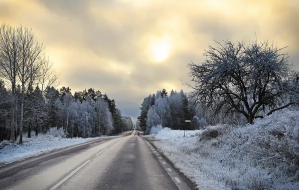 Winter, road, perspective, morning