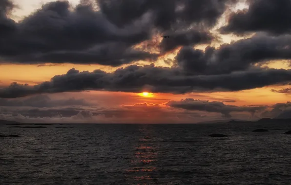 Sea, the sky, the sun, flight, sunset, orange, clouds, the ocean