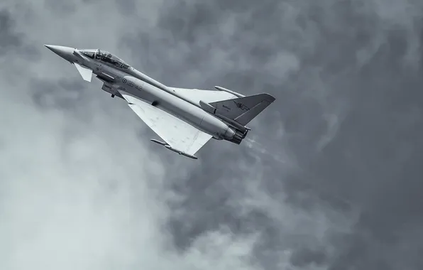 Picture flight, fighter, multipurpose, Eurofighter Typhoon