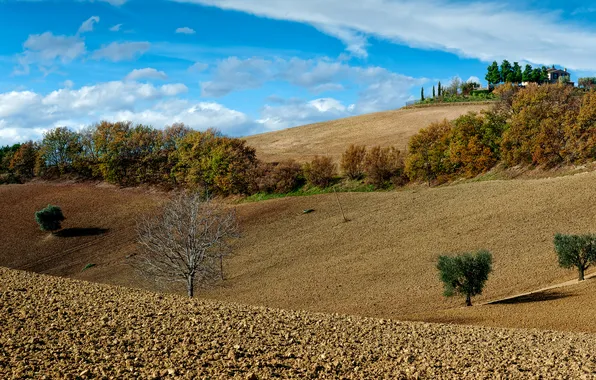 Field, autumn, the sky, trees, hills, home, Italy