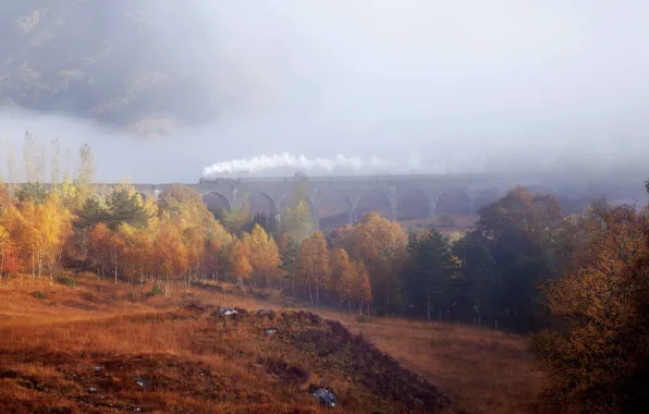 Autumn, forest, trees, fog, train, haze
