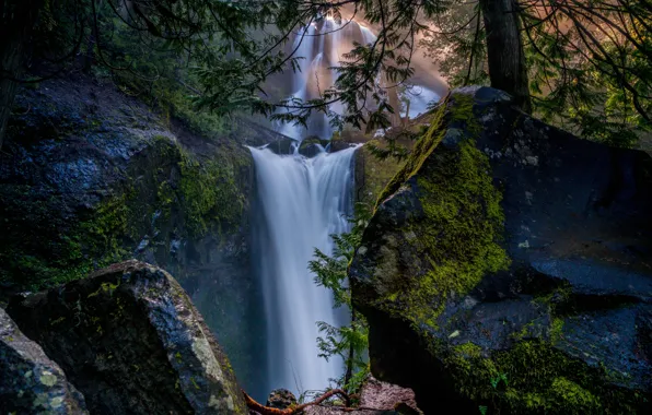 Forest, rocks, waterfalls, cascade, Columbia River Gorge, Falls Creek Falls, Gifford Pinchot National Forest, Washington …