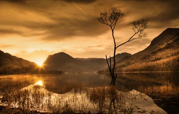Mountains, night, lake
