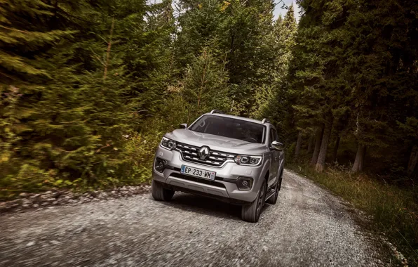 Forest, movement, Renault, pickup, 4x4, 2017, Alaskan, gray-silver
