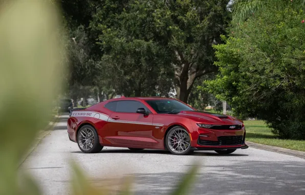 Chevrolet, Red, Yenko Camaro