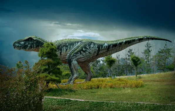 Picture dinosaur, dinosaur valley, dinosaur museum