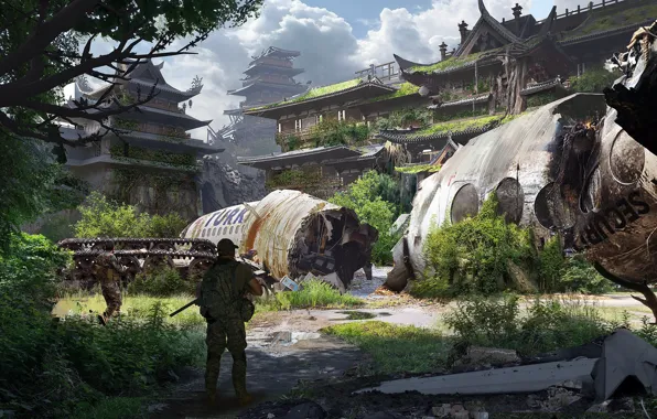 The wreckage, vegetation, structure, military, feixu