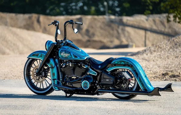 Harley-Davidson, Tuning, Softail, Rear, Heritage, Customized, Thunderbike, Custombikes