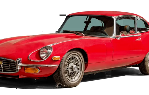 Red, jaguar, fast, etype