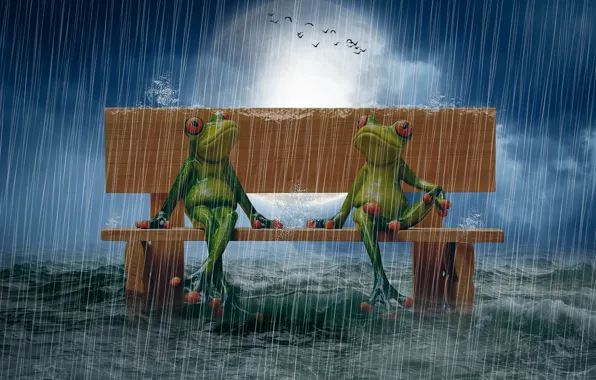 Sea, bench, rain, The moon, photo manipulation, puppet, birds in the sky, frogs