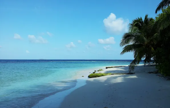 Sea, beach, Maldives, Paradise
