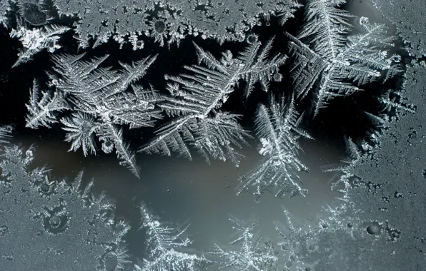 Picture frost, glass, frost