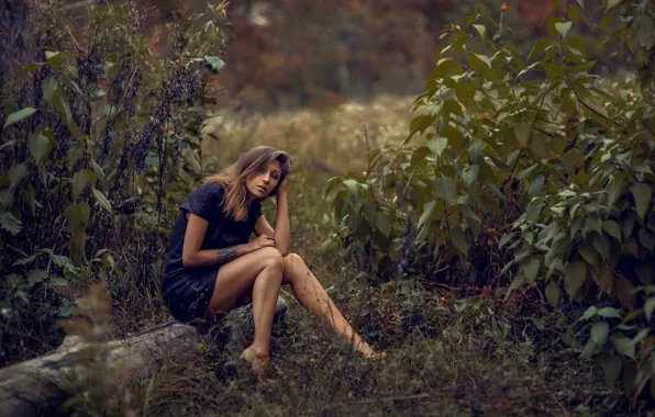 Picture grass, legs, nature