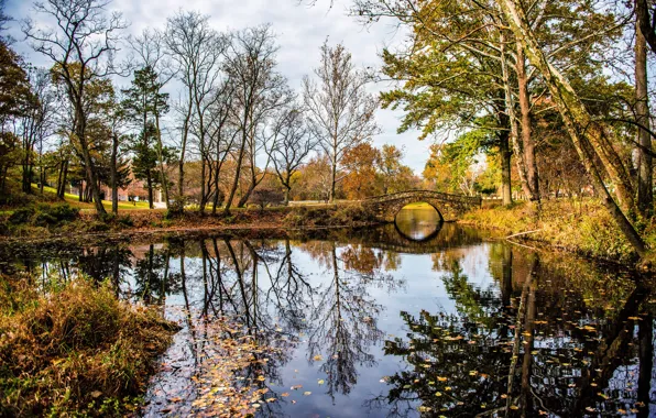 Picture bridge, Park, river