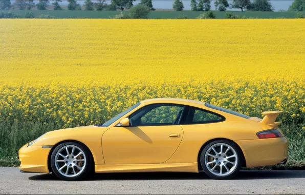 Flowers, yellow, 911, Porsche, Porsche, GT3