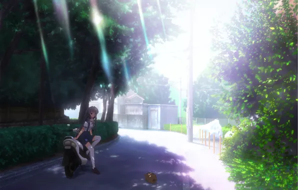 Wallpaper wire, rays, school uniform, hog, motorcycle, street, clannad, foliage