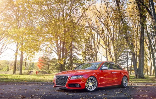 Park, Audi, Audi, red, red