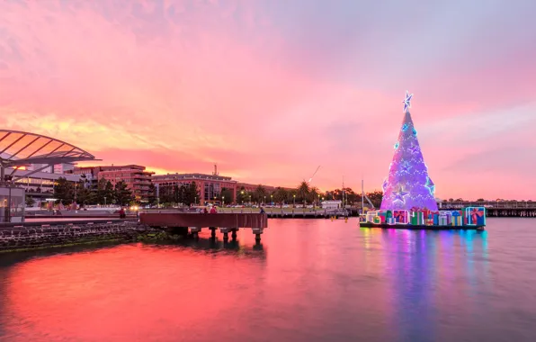 Picture lights, tree, Australia, Christmas, Geelong
