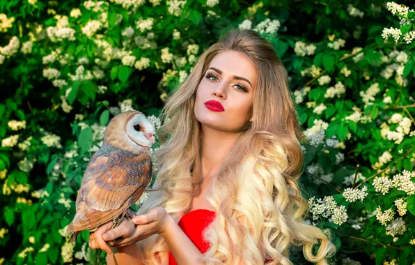 Picture owl, bird, makeup, blonde