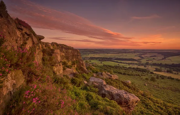 Flowers, mountains, nature, rocks, England, valley, Derbyshire