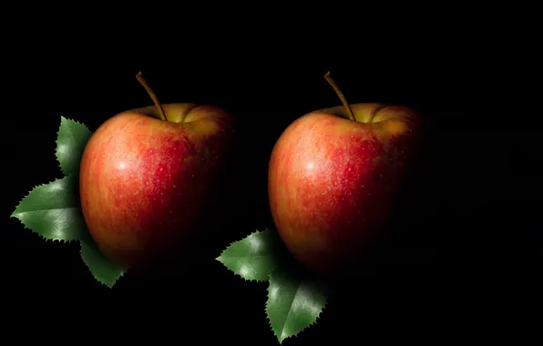 Apple, fruit, silhouette