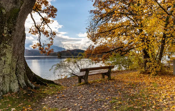 Autumn, forest, the sky, leaves, the sun, clouds, trees, river