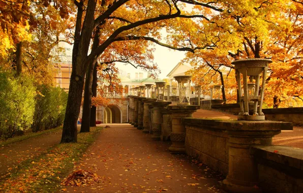 Autumn, the city, Park, foliage, the fence, Pushkin, Catherine Park