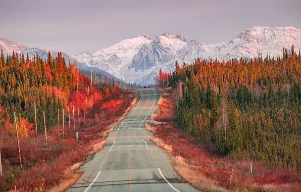 Road, autumn, forest, snow, mountains, tops, highway