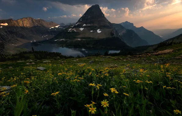 Field, summer, clouds, flowers, mountains, yellow, fog, lake