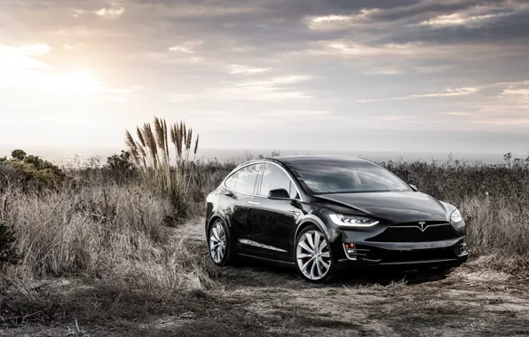 Picture the concept, Black, Tesla, Model X, Tesla, electric car