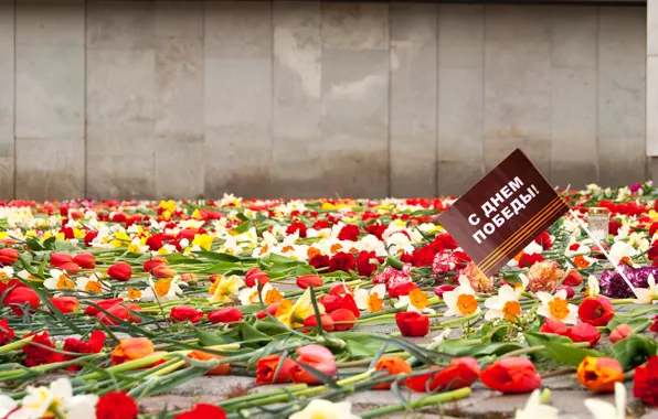 Flowers, memory, holiday, May 9, Victory day, eternal