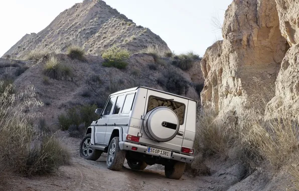 Grass, Mercedes-Benz, Mercedes, jeep, SUV, the roads, rear view, g