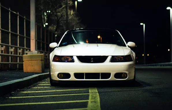 Picture ford mustang, cobra, night, Ford Mustang, before, white